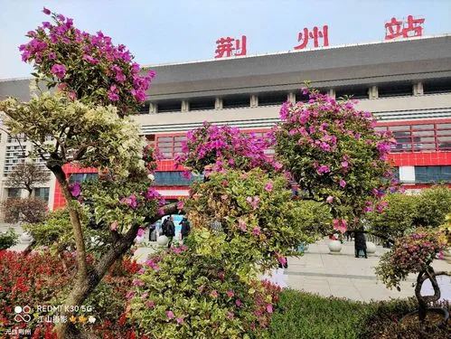 邯鄲到荊州貨運(yùn)專線 上門接貨+保證+時效+派送+省錢