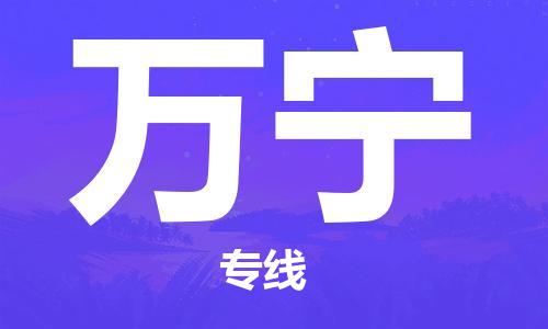 邯鄲到萬(wàn)寧物流公司-邯鄲至萬(wàn)寧貨運(yùn)客戶至上定制服務(wù)|可靠、經(jīng)濟(jì)實(shí)惠