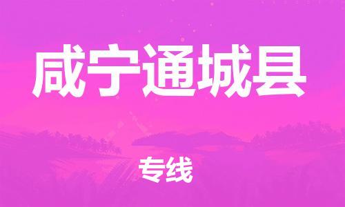 邯鄲到咸寧通城縣物流公司-私人貨物運輸專線-「市縣閃送」